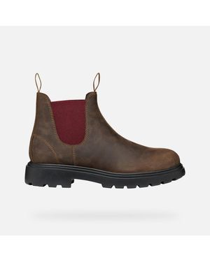 Geox Spherica Ec7 B Coffee/Bordeaux - Brown