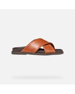 Geox Adelash - Brown