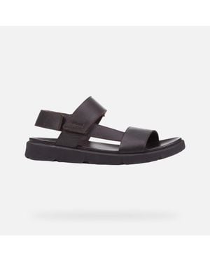 Geox Xand 2S - Multicolour