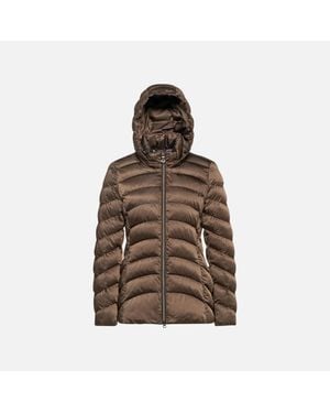 Geox Zosma - Brown