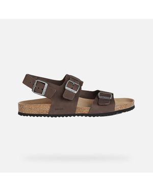 Geox Sandal Ghita - Multicolour