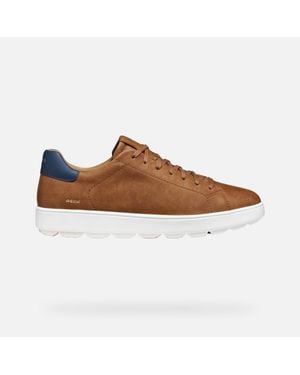 Geox Spherica Ecub-1 B - Brown