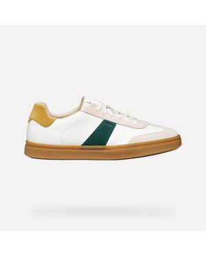 Geox Baltmoore - Multicolour