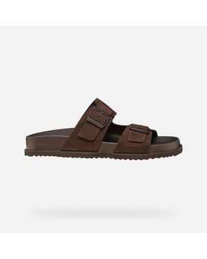 Geox Parnaiba - Brown