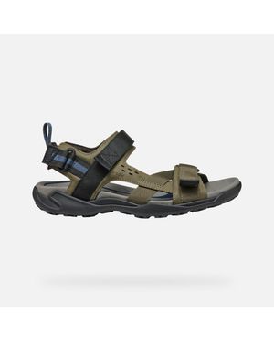 Geox Terreno + Grip - Multicolour