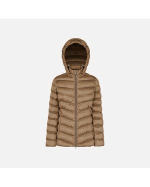 Geox Zosma - Brown