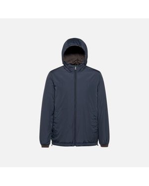 Geox Jharrod Coffee Bean/Sky Captain - Blue