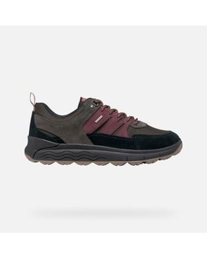 Geox Spherica 4X4 Abx /Dark Burgundy - Black