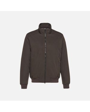 Geox Vincit - Grey