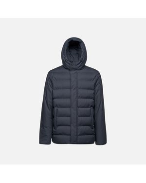 Geox Abbigliamento Sile Uomo - Blu