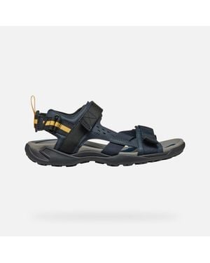 Geox Terreno + Grip - Blue