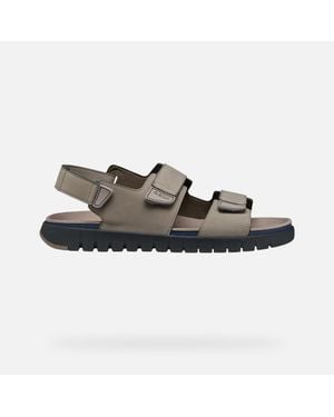 Geox Flextride S - Brown