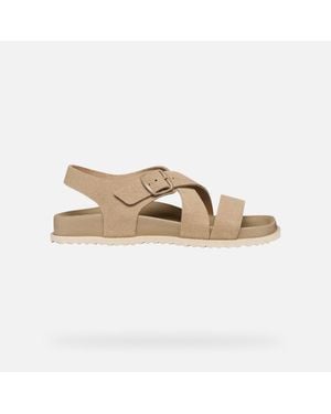 Geox Sandybett - Grey