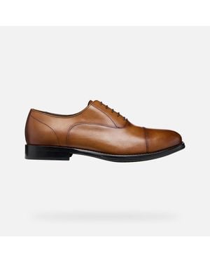 Geox Barberigo - Brown