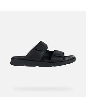 Geox Xand 2S - Black