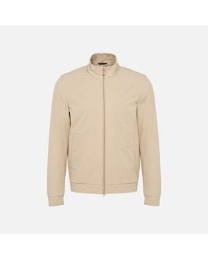 Geox Jacopo - Natural