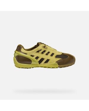 Geox Archive Snake - Green