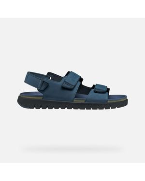 Geox Flextride S - Blue