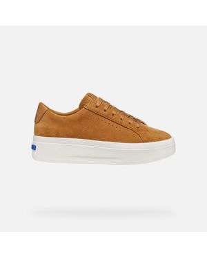 Geox Gxcp-03 - Brown