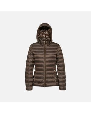 Geox Jaysen - Brown