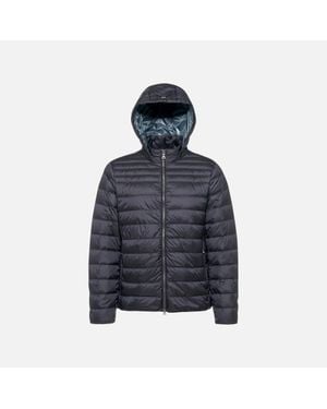 Geox Warrens - Blue