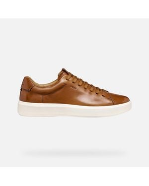 Geox Velletri - Brown