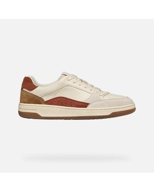 Geox Sedral Court - Multicolour