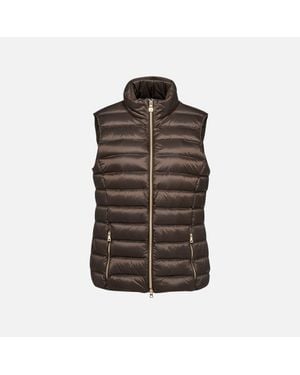 Geox Jaysen - Brown
