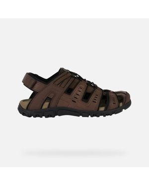 Geox Strada - Brown