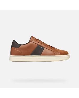 Geox Baltmoore - Brown