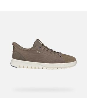 Geox Flextride Plus - Grey