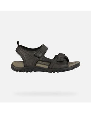Geox Strada - Black