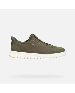 Geox Flextride Plus - Green