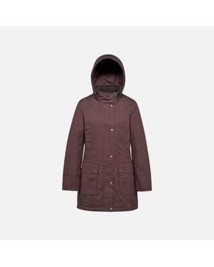 Geox Graisy - Brown