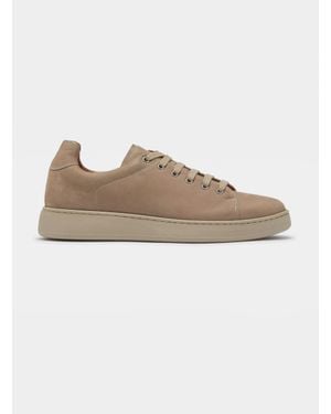 Gutteridge Nubuk-Turnschuhe - Mehrfarbig
