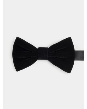 Gutteridge Papillon De Terciopelo, Talla - Negro
