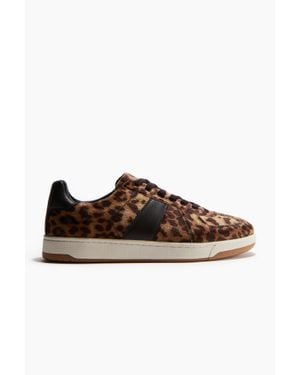 H&M Sneakers À Motif - Marron