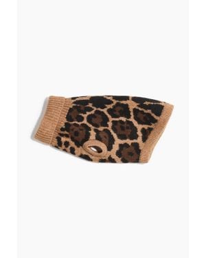 H&M Pull Pour Chien - Multicolore