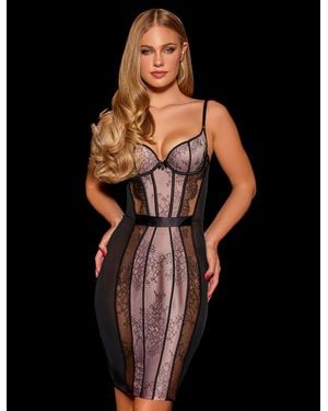 Honey Birdette Lucia Dress - Black