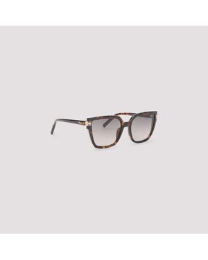 Chopard Havana Acetate Sunglasses - Brown