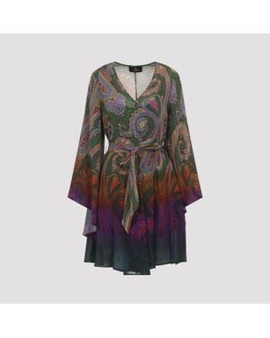 Etro Mini Dress - Brown