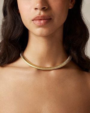 J.Crew Slink Chain Necklace - Brown