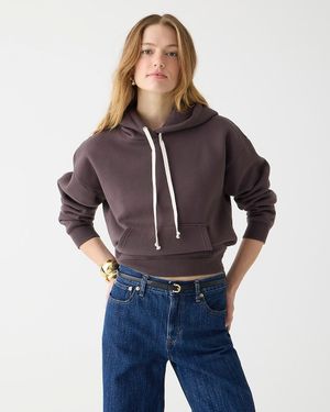J crew grey hoodie hotsell