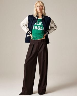 J.Crew Alex Eagle X Pleated Pant - Blue