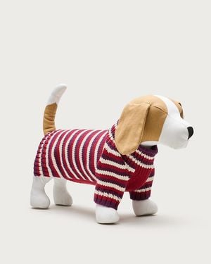 J.Crew Limited-Edition Striped Cotton Rollneck Sweater For Dogs - Red