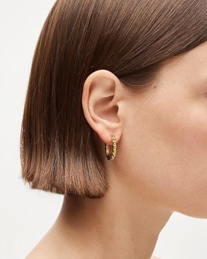 J.Crew Metallic Beaded Hoop Earrings - Brown