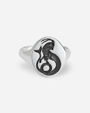 J.Crew Talon Jewelry Zodiac Signet Ring - White