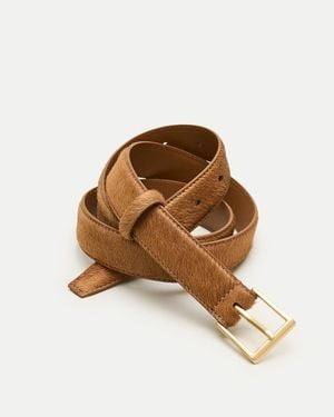 J.Crew Berkeley Belt - Brown