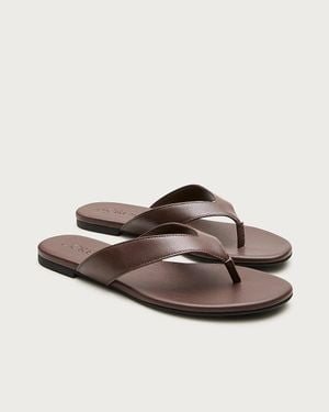 J.Crew Audrey Slim Thong Sandals - Brown
