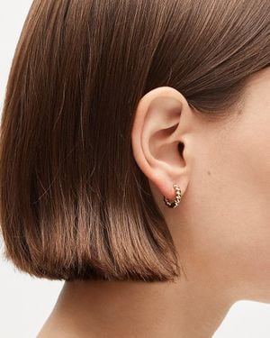 J.Crew Mini Metallic Twist Huggie Earrings - Brown